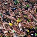 Bundesliga