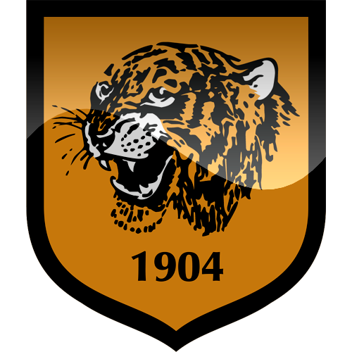 Hull City