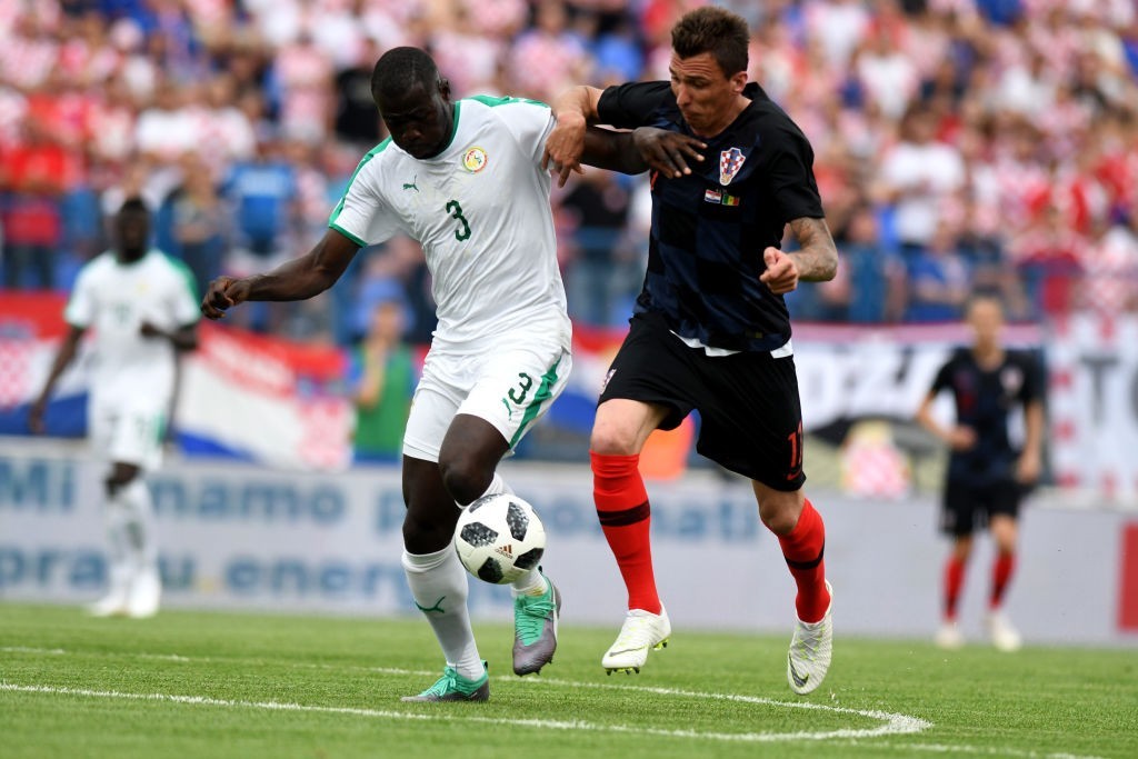 Kalidou Koulibaly (L) - The wall in the Senegalese defence (Photo: DENIS LOVROVIC/AFP/Getty Images)
