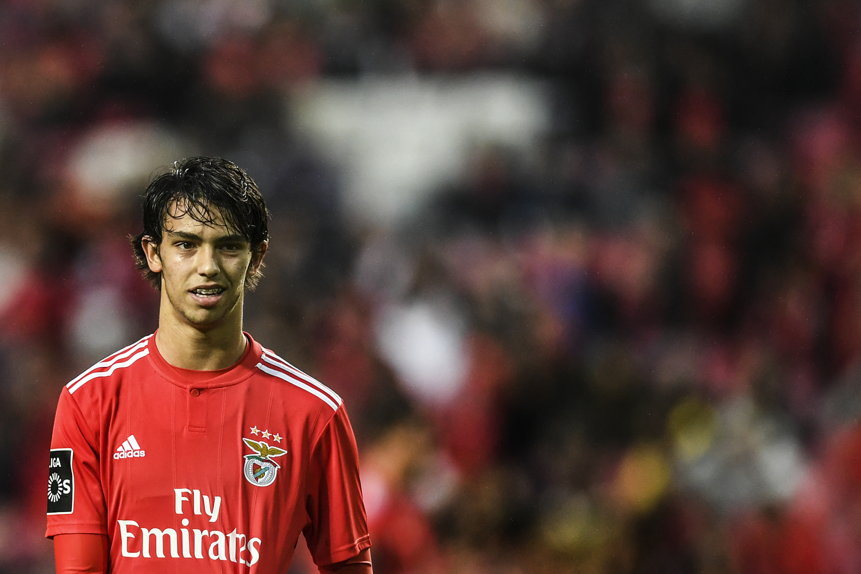 Benfica's midfielder Joao Felix looks on during the Portuguese League football match between SL Benfica and CD Nacional at the Luz stadium in Lisbon on February 10, 2019. (Photo by PATRICIA DE MELO MOREIRA / AFP) (Photo credit should read PATRICIA DE MELO MOREIRA/AFP/Getty Images)