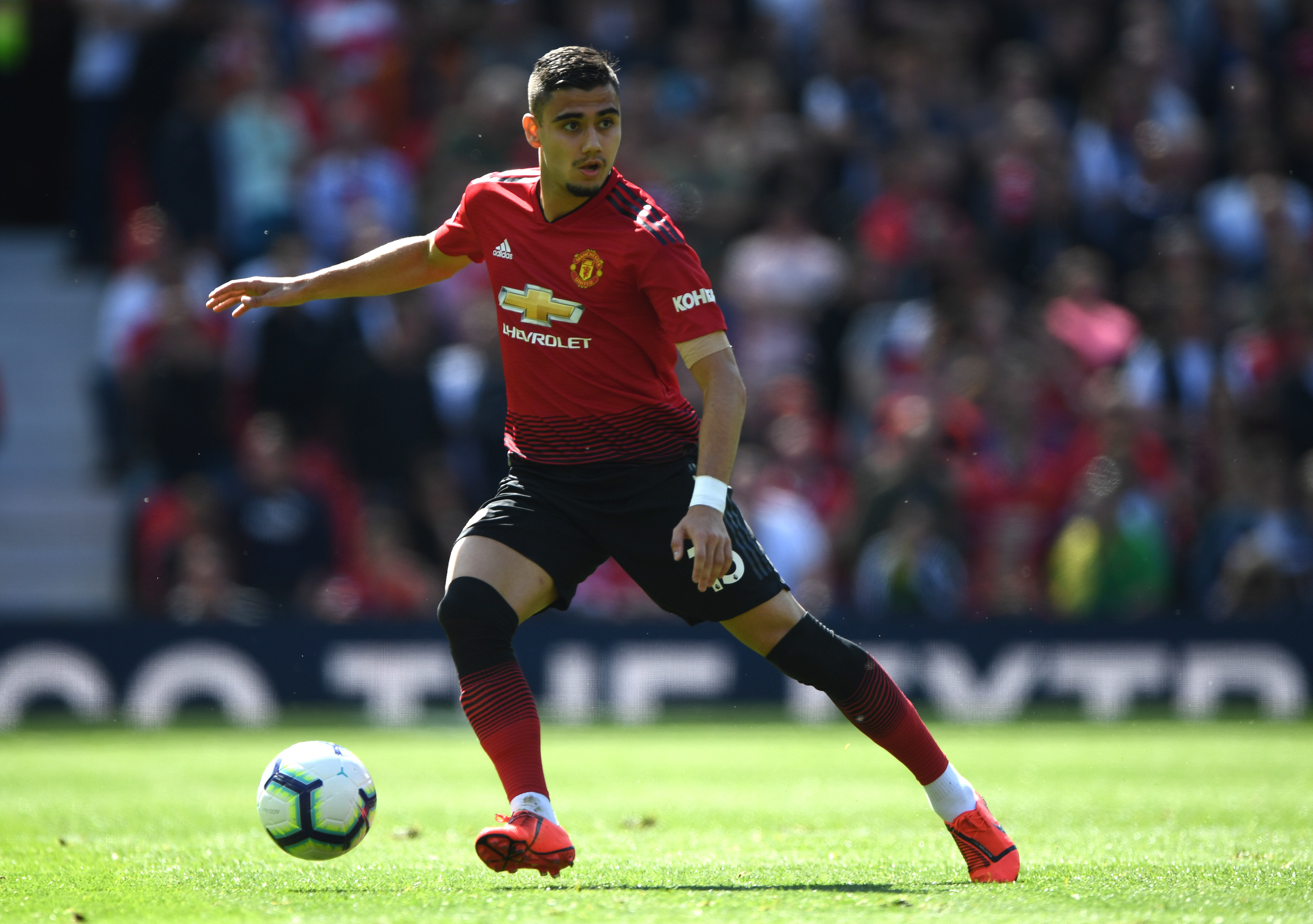 Pereira signs a new contract (Photo by Stu Forster/Getty Images)