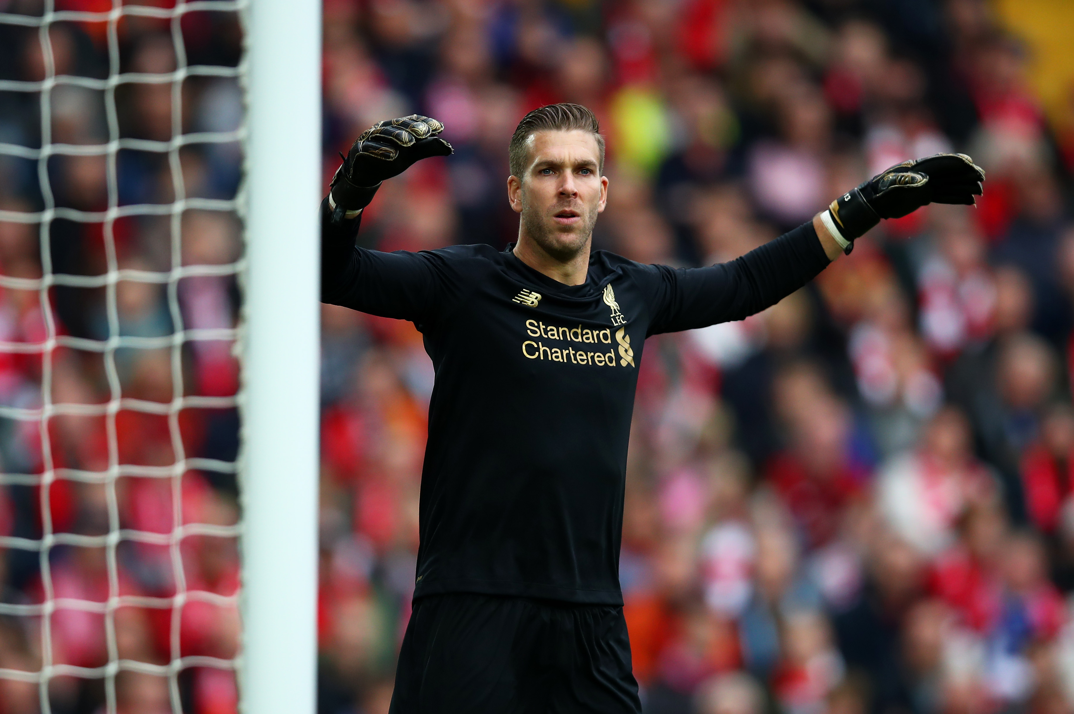 Adrian has struggled at Liverpool (Photo by Clive Brunskill/Getty Images)
