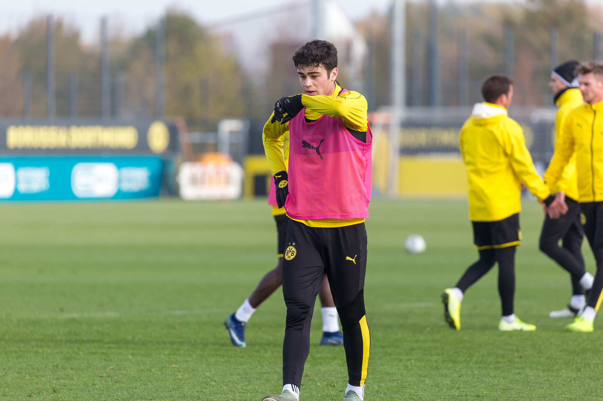 Borussia Dortmund sensation Giovanni Reyna. (Photo by Marco Verch/Flickr)